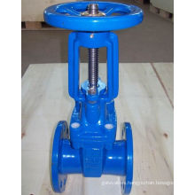 DIN F7 Rising Stem Gate Valve (Z41)